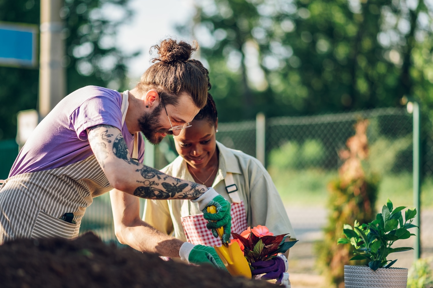 multiracial-couple-of-gardeners-transplanting-a-pl-2026-01-09-10-58-43-utc